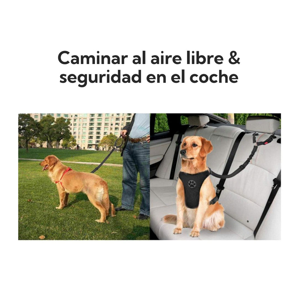 Correa Leash Para Mascotas Pro Outdoor